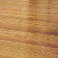 Newly refinished wood floor