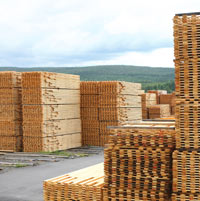 Stacked Lumber