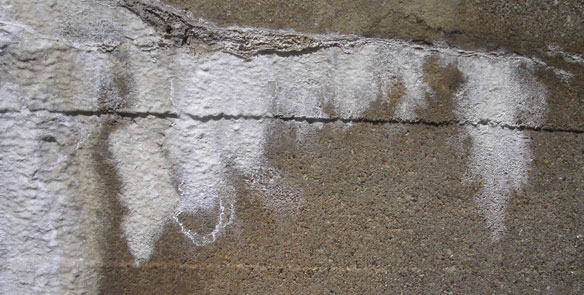 The Ugly Truth: How Moisture Can Ruin Your Decorative Concrete | Wagner