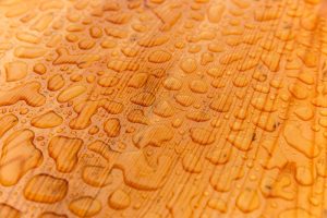 Acceptable Moisture Levels in Wood – Moisture Content