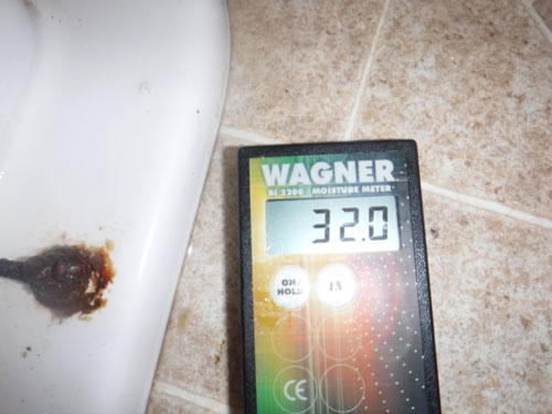 Wagner Meters BI 2200 Moisture Meter