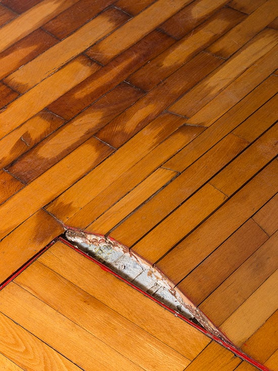 hardwood floor moisture issues